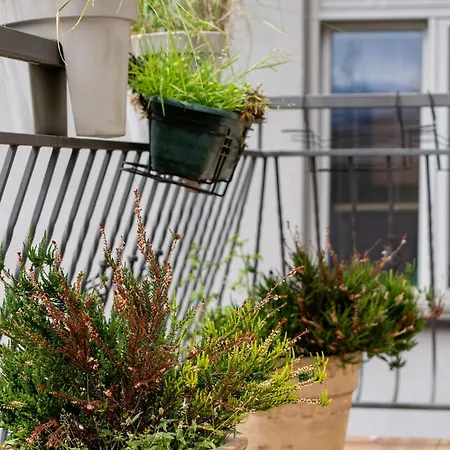 Near Wawel Castle דירה *